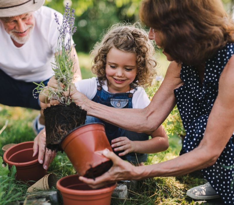 Grandparents gardening with their grandchild.